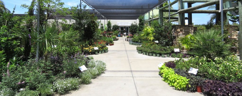 Verdego palm coast garden center VerdeGo