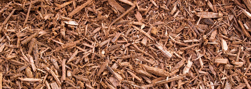 Benefits of Mulching Featured Image