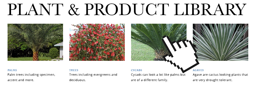 Plant & Product Library Featured Image
