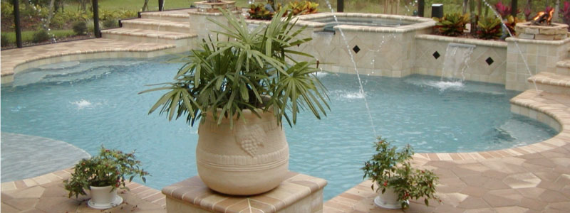 Plants for Pools Featured Image